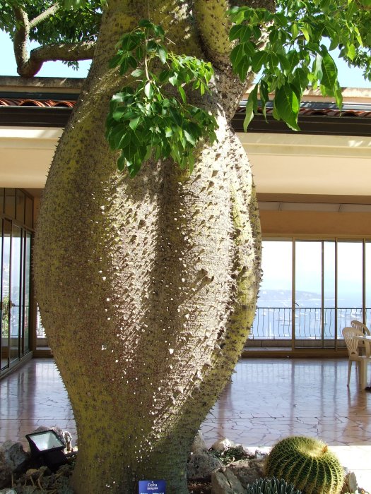 20132509monaco 006_000.JPG